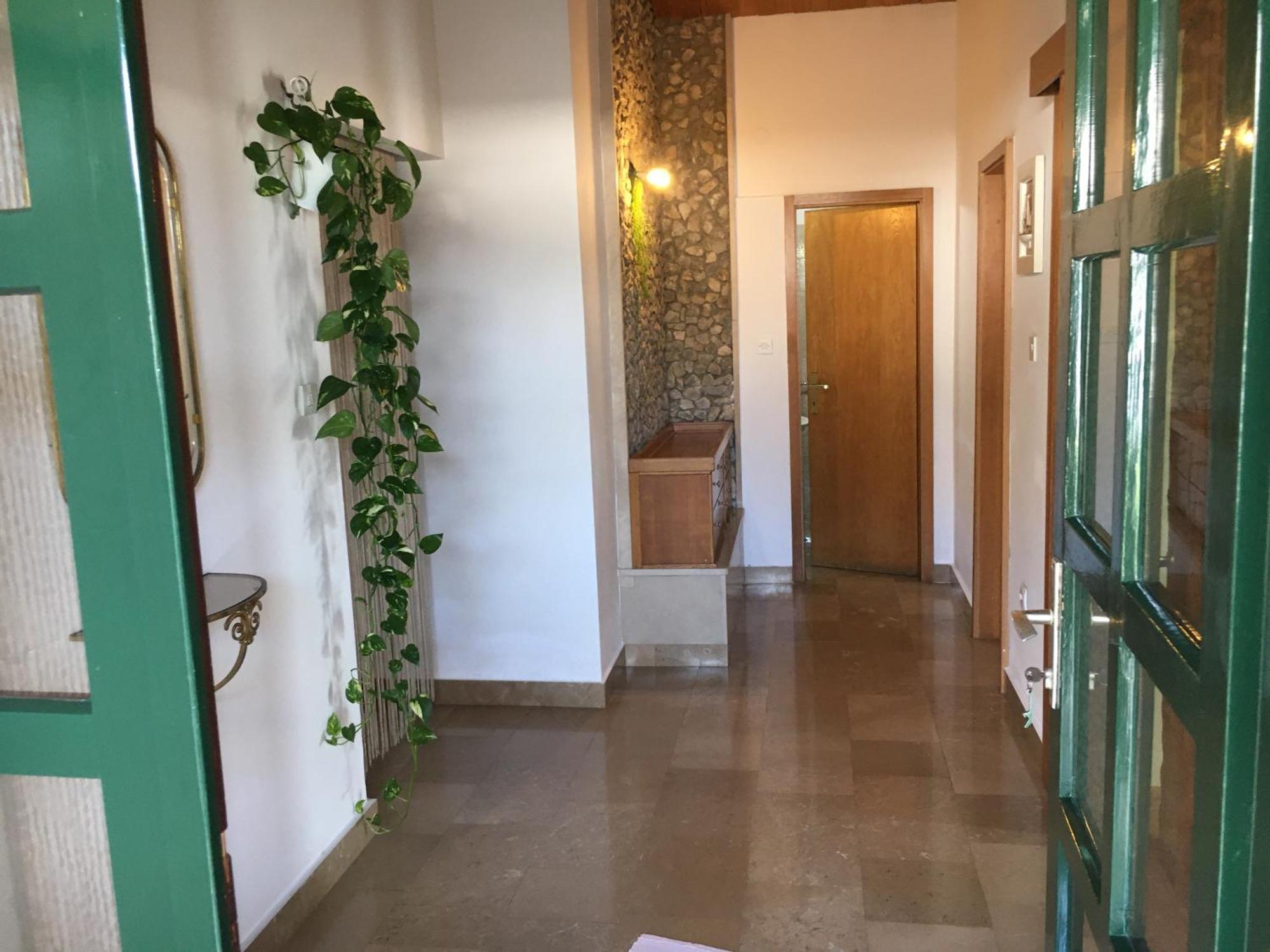 Apartments Leut Drašnice Eksteriør billede