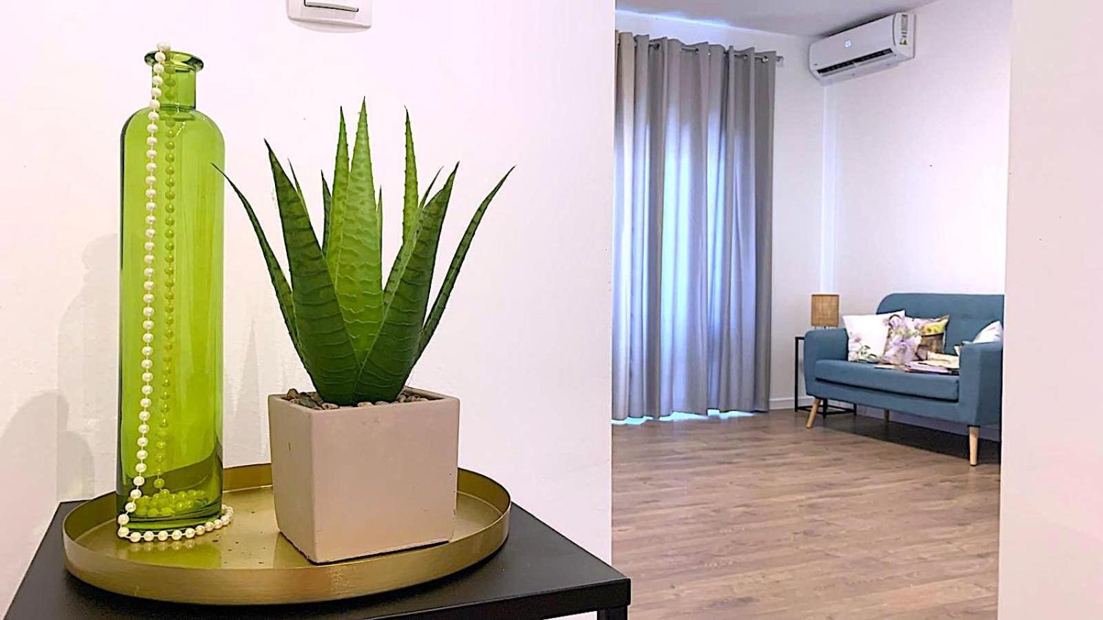 Apartments Leut Drašnice Eksteriør billede